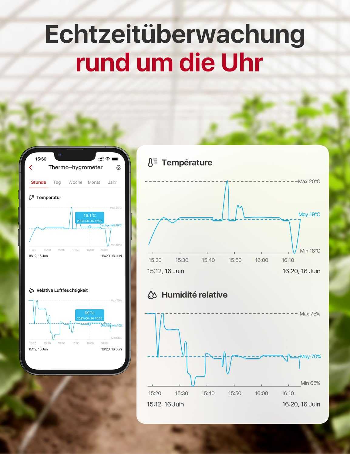 X-Sense WLAN Hygrometer Thermometer Set - 4 Sensoren und SBS50 Basisstation Mesch Shop X-Sense WLAN Hygrometer Thermometer Set - 4 Sensoren und SBS50 Basisstation Mesch Shop